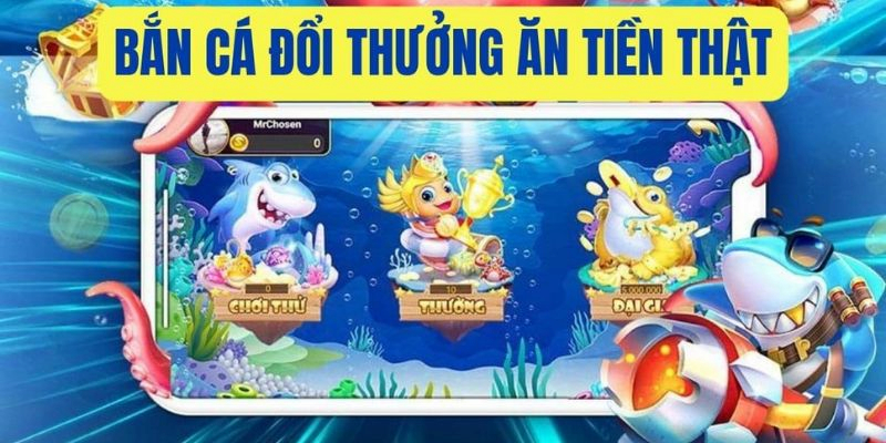 Chiến thuật bắn cá đổi thưởng theo kiểu băng bi