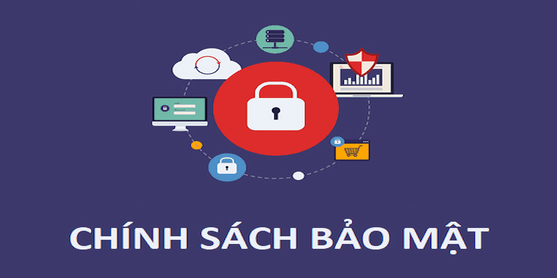 Chính sách bảo mật về thành viên cần đảm bảo cung cấp đúng những thông tin